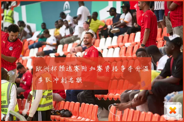 欧洲杯预选赛附加赛资格争夺升温 多队冲刺名额