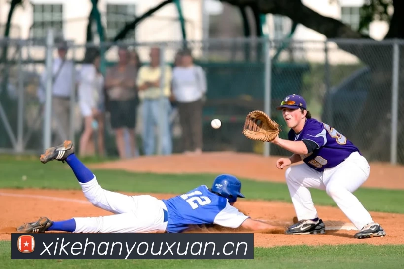 压球首页平台生态图